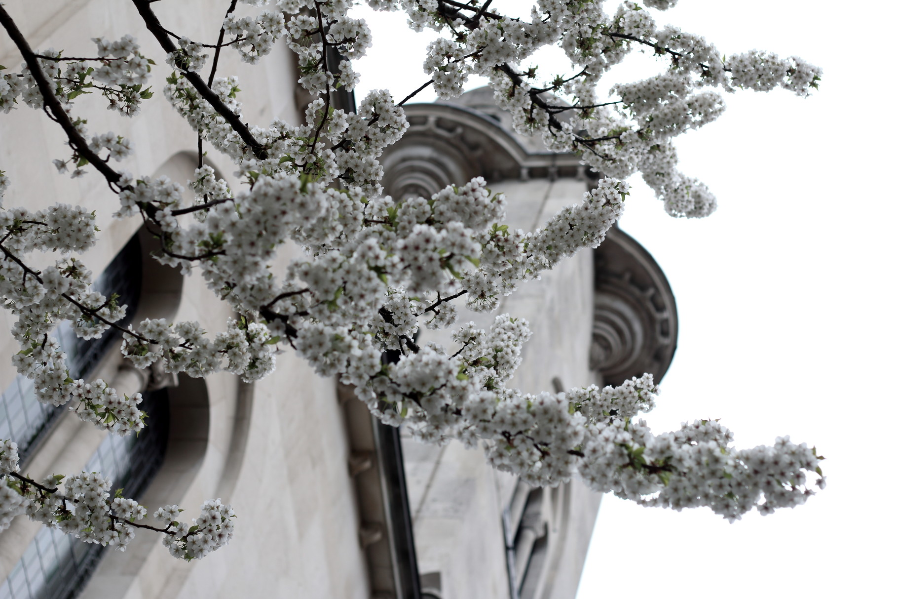 London Photo60