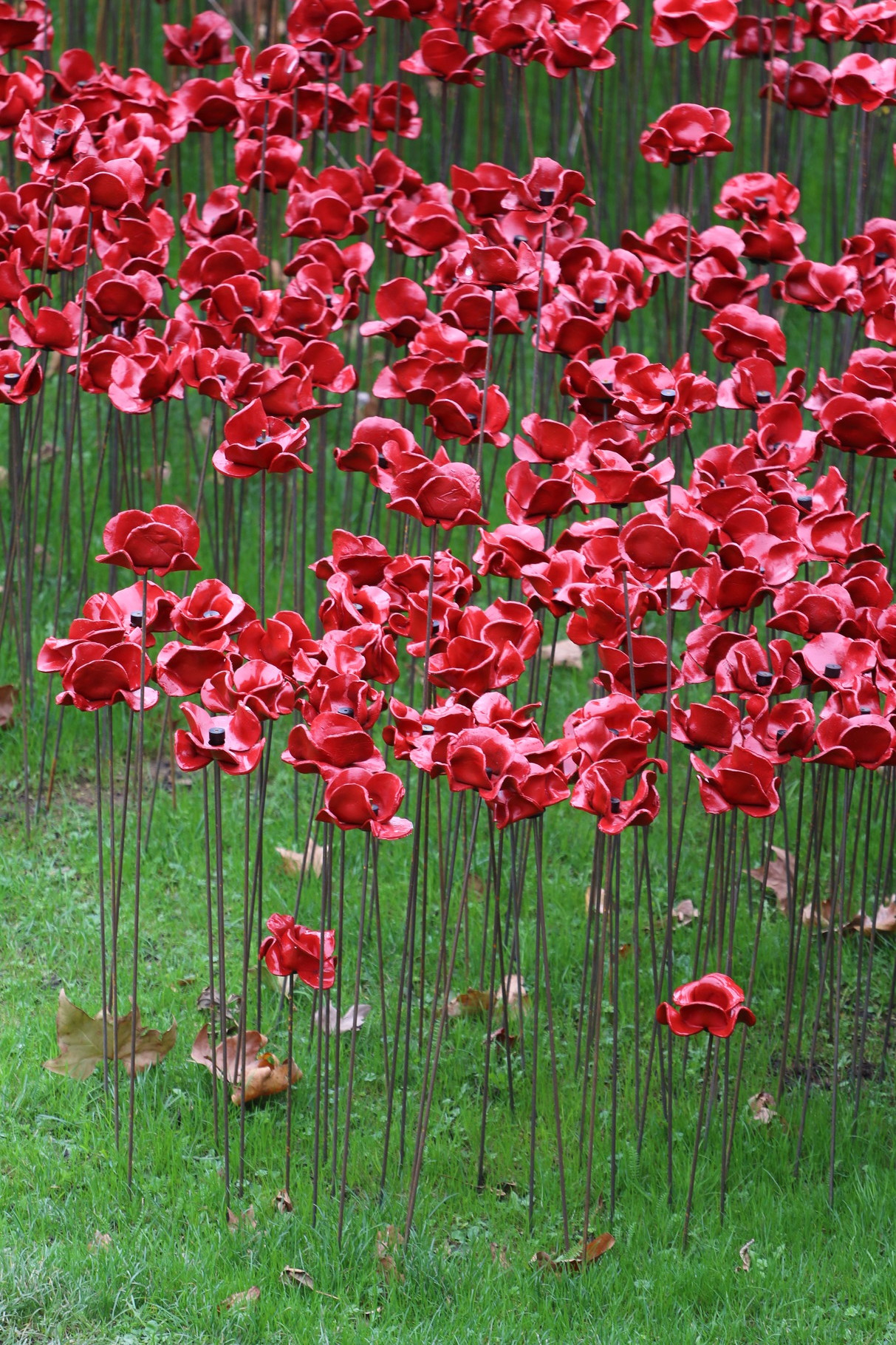 London Photo43