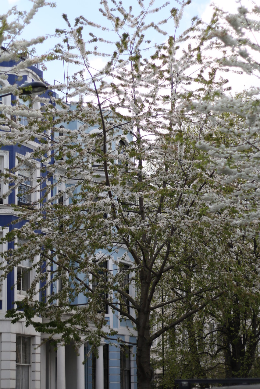 London Photo64