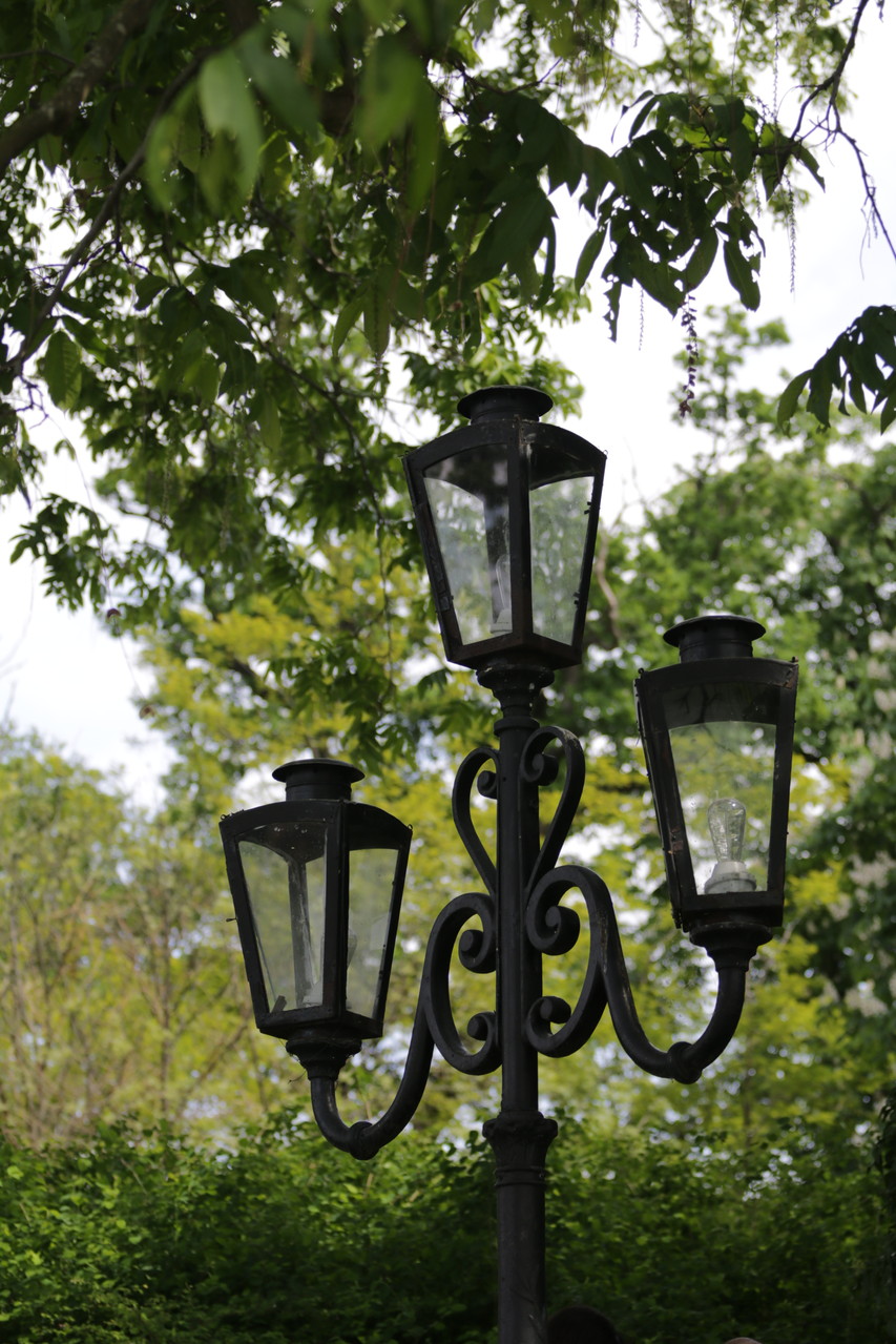 Paris Photo168
