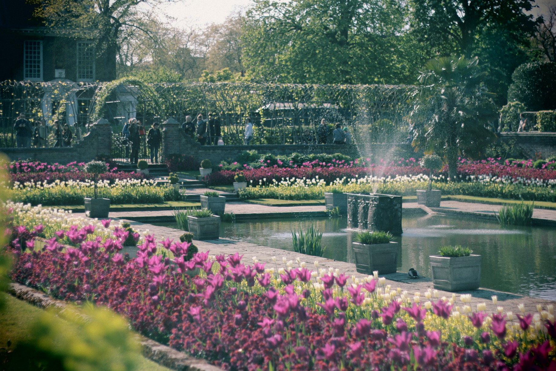 London Photo29