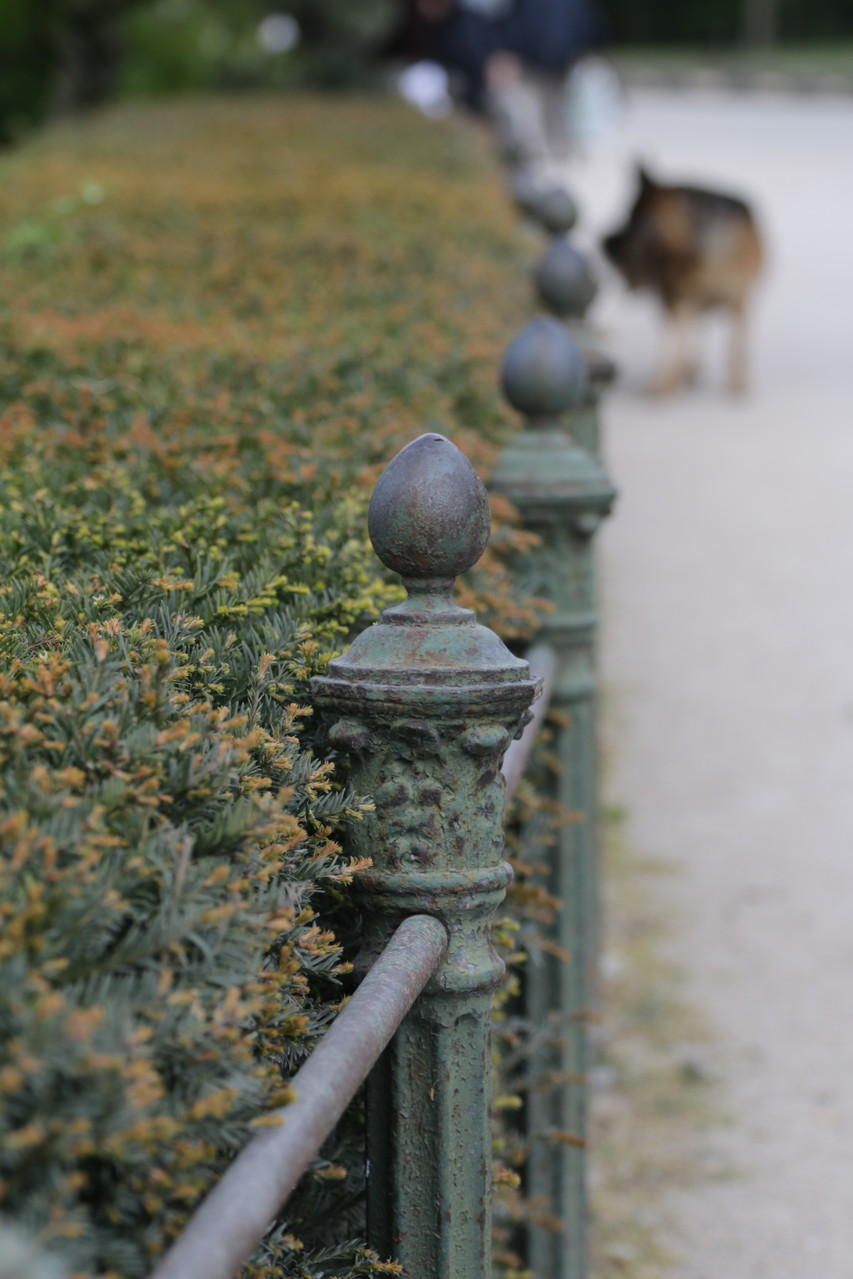 Paris Photo169