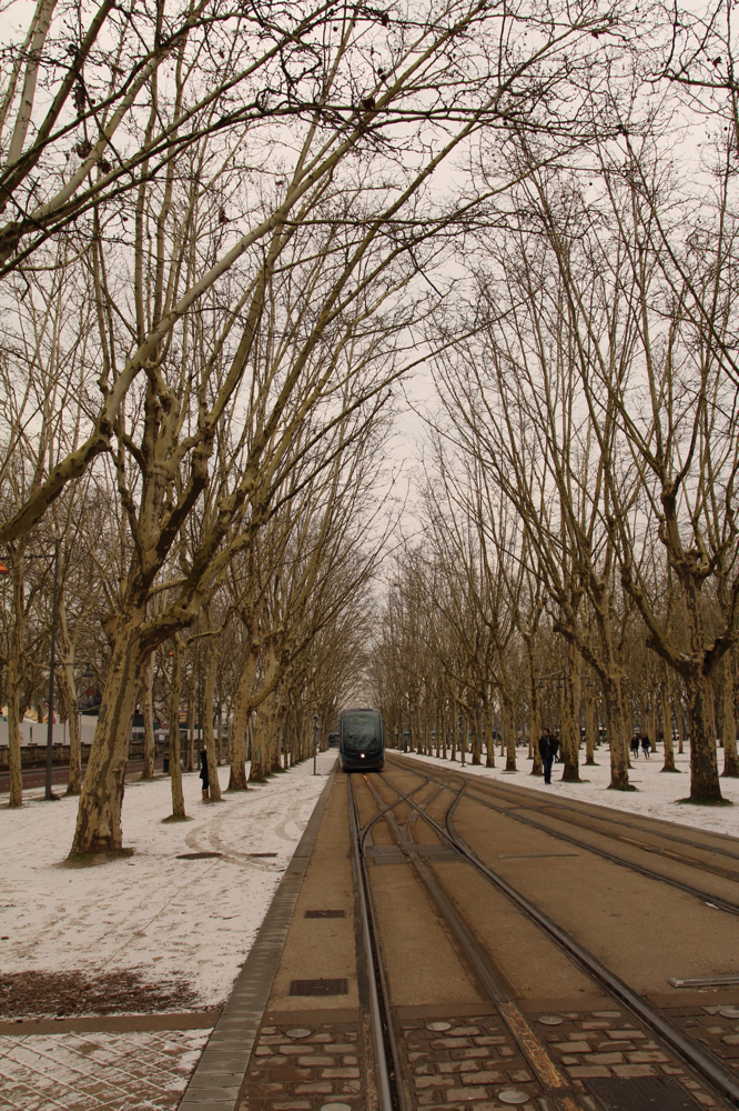 Bordeaux Photo32