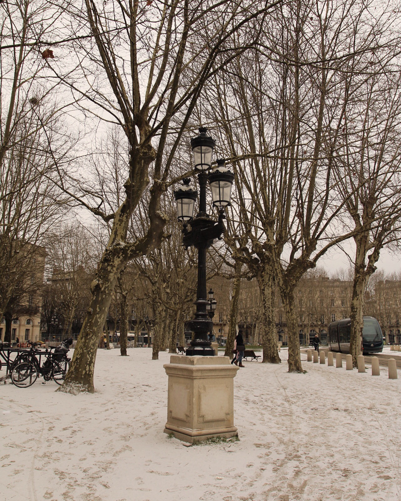 Bordeaux Photo33