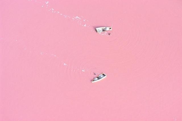 ピンク色の湖