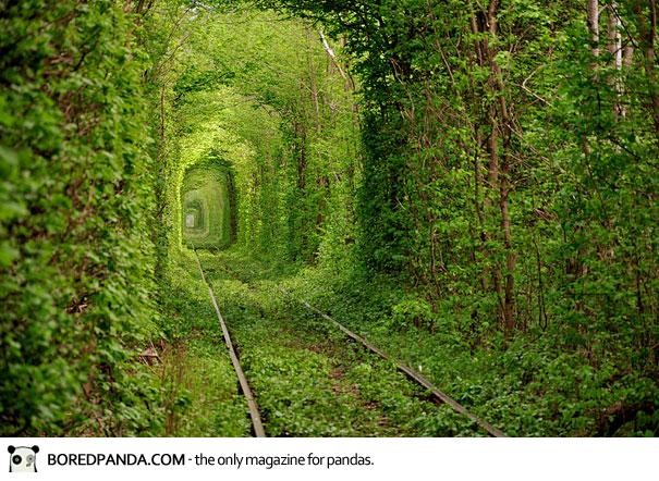 Tunnel of love