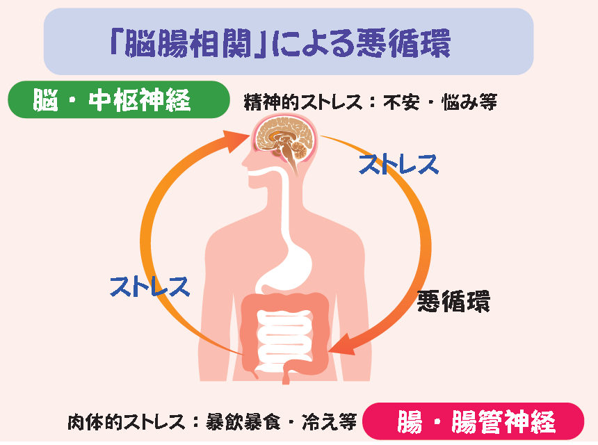 脳腸相関