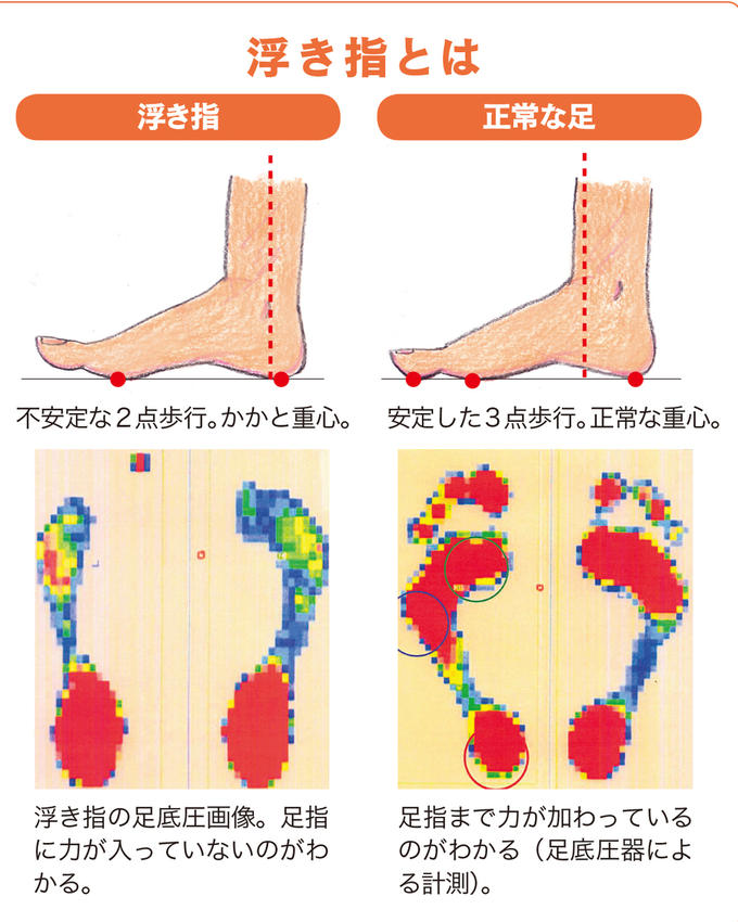 yafoo画像検索より