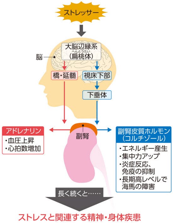日経電子版より抜粋