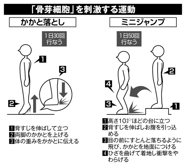 骨ホルモン