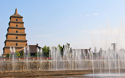 51JwebjU6NL._AC_UF350,