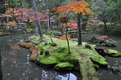 夢窓疎石作庭の西芳寺（苔寺）の庭園