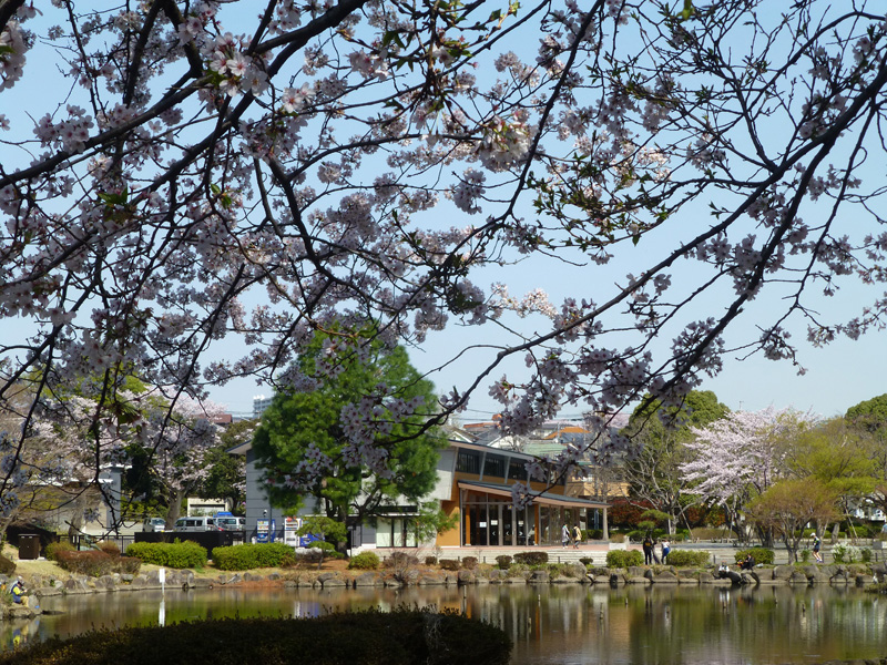 こども自然公園