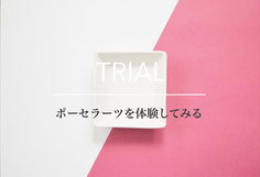 ポーセラーツインストラクターの定額