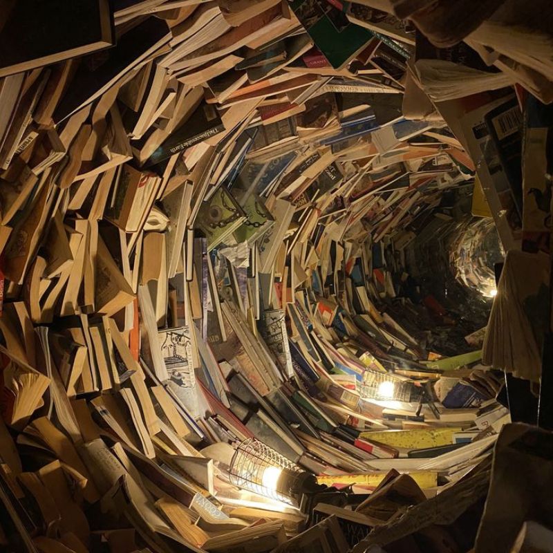LE MONT AUX GRIMOIRES. DE LA FOLIE DES PLUMES ET DE LA SURABONDANCE DES LIVRES