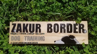 ＺＡＫＵＲＢＯＲＤＥＲ（サクールボーダー）ＨＰ使用画像です。©ＺＡＫＵＲＢＯＲＤＥＲ