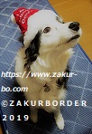 ＺＡＫＵＲＢＯＲＤＥＲ（サクールボーダー）ブログ、ボーダーコリーＭ＆Ｅ２０２１１１２２使用画像