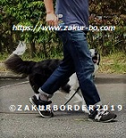 ＺＡＫＵＲＢＯＲＤＥＲ（サクールボーダー）ホームページ使用画像