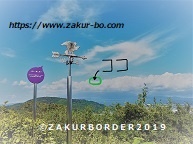 ＺＡＫＵＲＢＯＲＤＥＲ（サクールボーダー）ブログ、ボーダーコリーＭ＆Ｅ２０２１１１０７使用画像