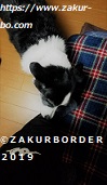 ＺＡＫＵＲＢＯＲＤＥＲ（サクールボーダー）ブログ、ボーダーコリーＭ＆Ｅ２０２１０２１９使用画像