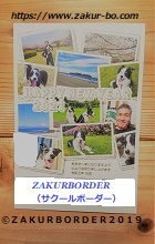 ＺＡＫＵＲＢＯＲＤＥＲ（サクールボーダー）ブログ、ボーダーコリーＭ＆Ｅ２０２１０１０１使用画像１