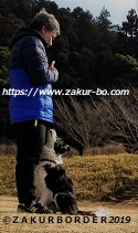 ＺＡＫＵＲＢＯＲＤＥＲ（サクールボーダー）ホームページ使用画像