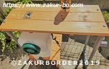 ＺＡＫＵＲＢＯＲＤＥＲ（サクールボーダー）ブログ、ボーダーコリーＭ＆Ｅ２０２３０９０１使用画像