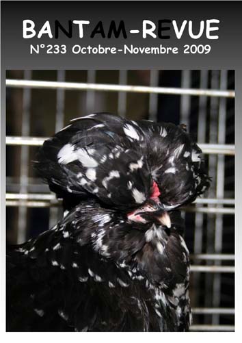 Sommaire : Nouveau standard Poule Soie / Nos races de poules d'hier pour l'élevage de demain / A propos de la vaccination de nos volailles / La gale des pattes des oiseaux / Les poux des volailles et les bains de poussière / Les poux rouges /Annonces 