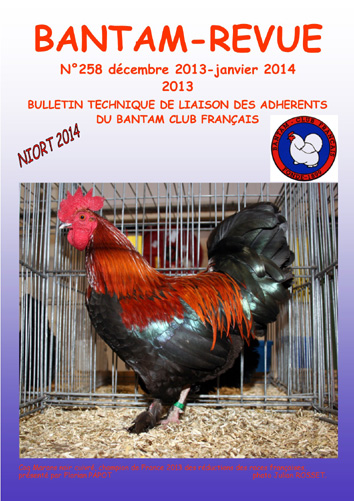 Sommaire : Palmarès du Ch. de France du BCF 2013 - Niort / CR de l'AG du BCF 2013 / CR du Ch. de France du BCF 2013 / Les antibiotiques : conseils d'utilisation pour les éleveurs amateurs / Petites annonces