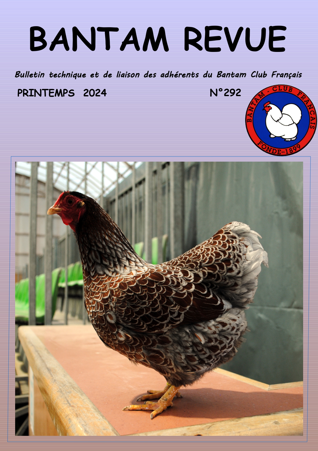 Sommaire : Disparition d'Yves DESFORGES / Nouveau CA de la FVV / Nos Barbus cailloutés / Les sentiments chez les volailles / Le type de la Marans naine / Résultats des championnats régionaux de Rennes et Baraqueville