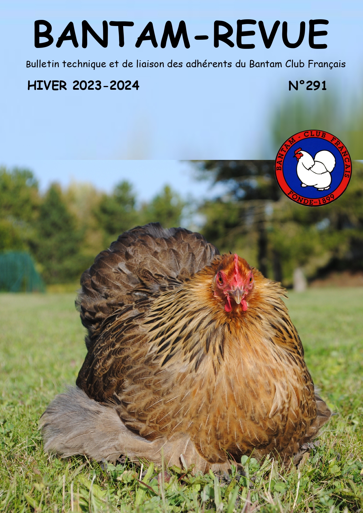 Sommaire : Palmarès du championnat de France 2023 / Portrait de Romain BOURDEAU / Coupe de France 2023 à Limoges / Résultats des régionaux d'Allauch, Poitiers, Saint-Ouen et La Biolle / Aspect et génétique des principaux types de crêtes chez les poules