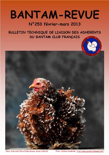 Sommaire : La section Barbus Belges à Montluçon / La variété mille-fleurs et porcelaine / Règlement et feuille d'engagement  - Ch. de France BCF 2013 / Chantecler peut-il chanter à Clochemerle ? / Petites annonces / Diamètres des bagues  et masses