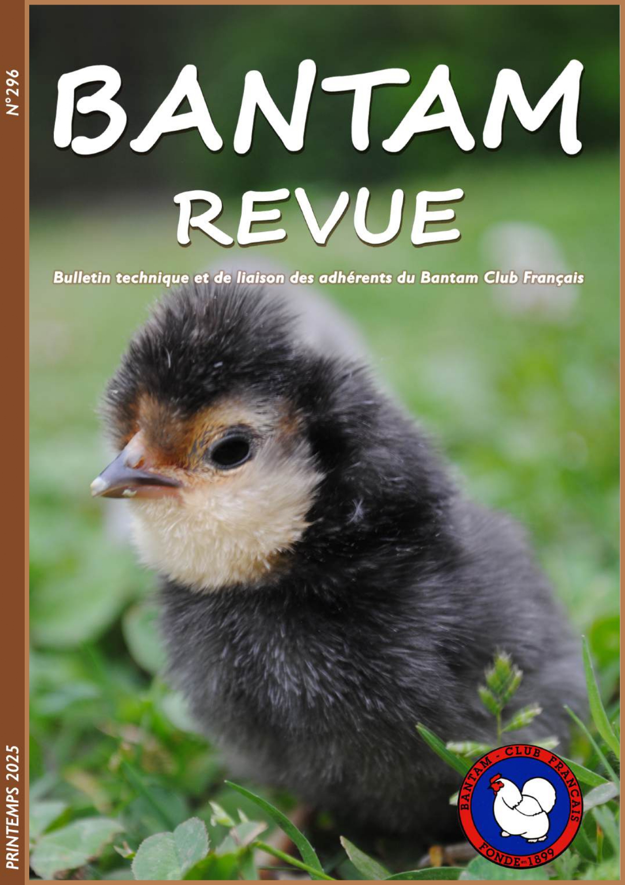 Sommaire : Les volailles naines à la Nationale allemande 2024/L’aviculture sportive en Suisse/L’aviculture italienne : un patrimoine à sauvegarder ensemble/The National Show en Grande-Bretagne/Résultats des régionaux de Guingamp et St Pons de Thomières