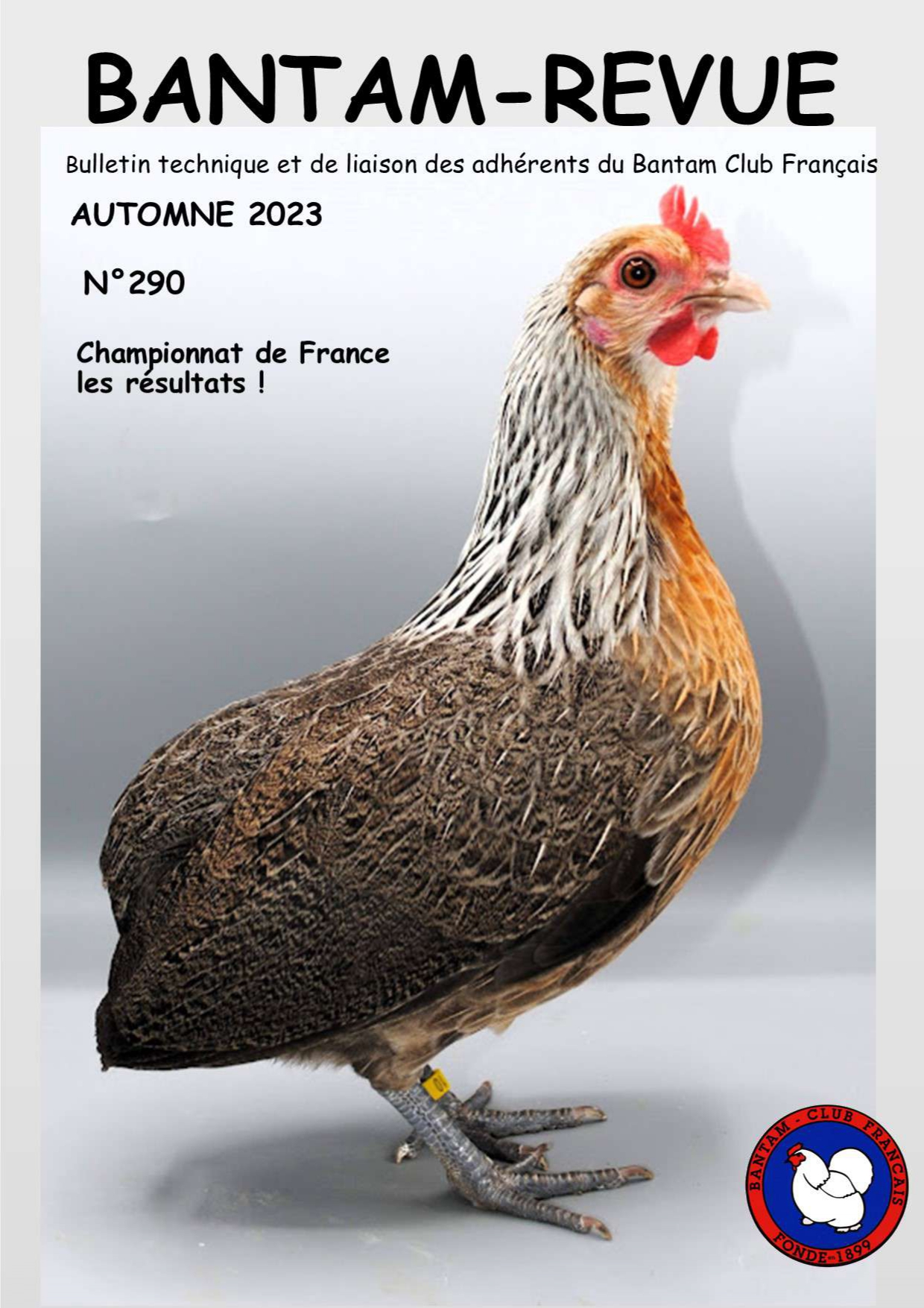 Sommaire : Standard officiel de la Java / Réunion technique spéciale Java à l'exposition de Limoges / Visite chez Miguel BOUQUET (Java) / CR de l'AG du BCF / Championnat de France 2023 : l'avis des juges / CR des régionaux de Port-sur-Saône et Alençon