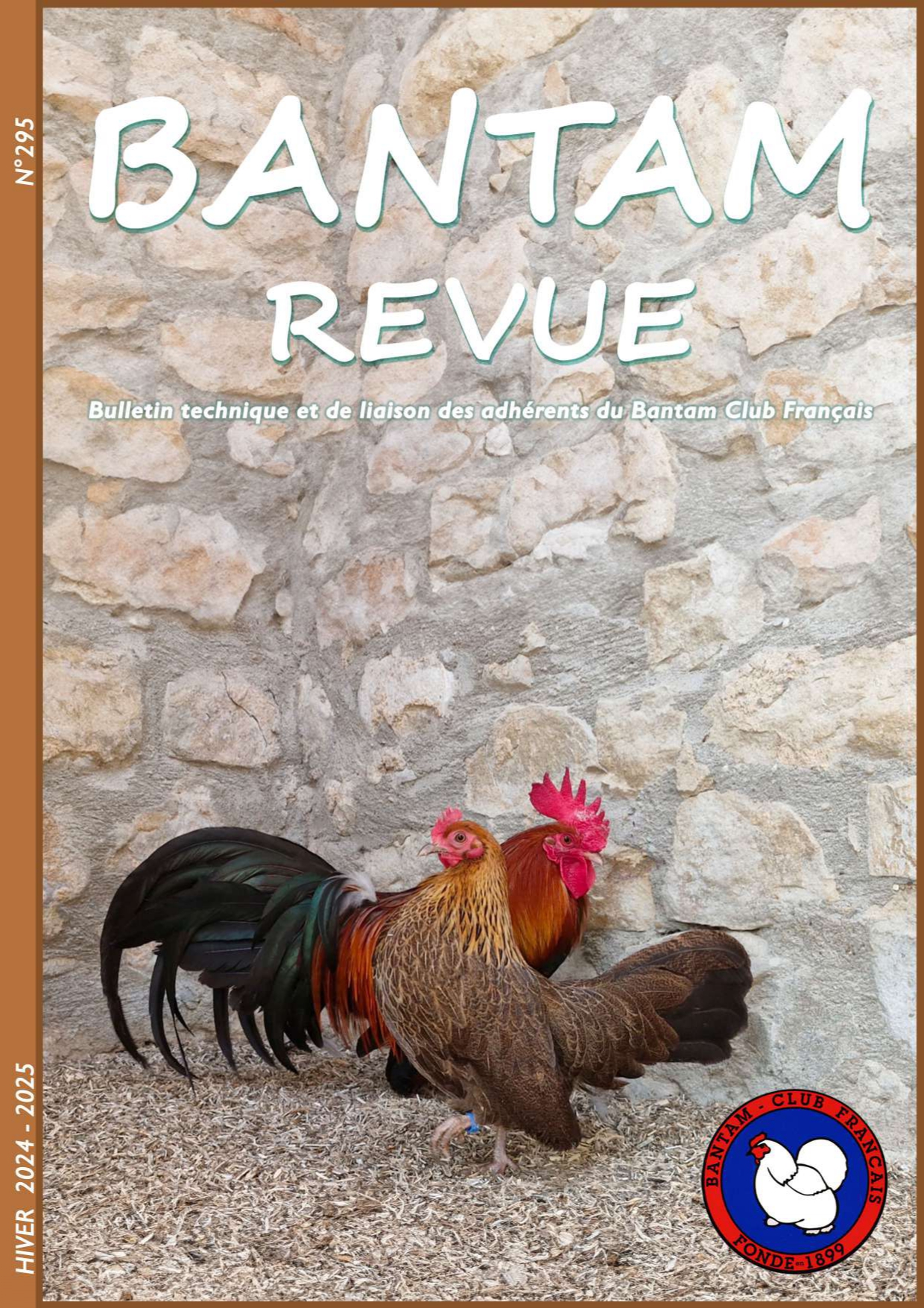 Sommaire : Résultats Coupe de France 2024 / CR régionaux d'Enquin-les-Mines, d'Argenton sur Creuse et de Saint Gaudens / Extrait CR commission standards volaille / Origines Australorp naine / Génétique et expression des variétés coucou/barré chez la Pékin