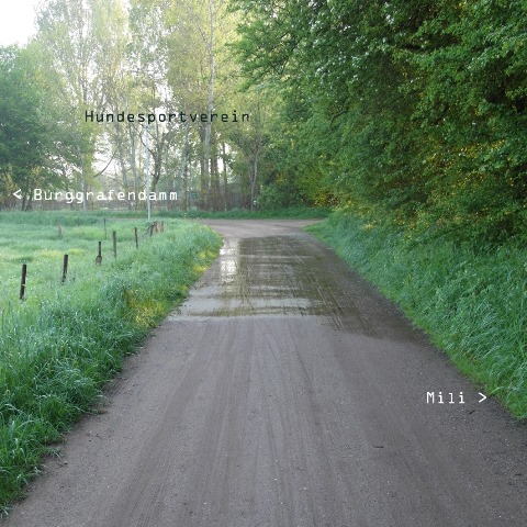 Untersickerungen am Delme-Deich 2010