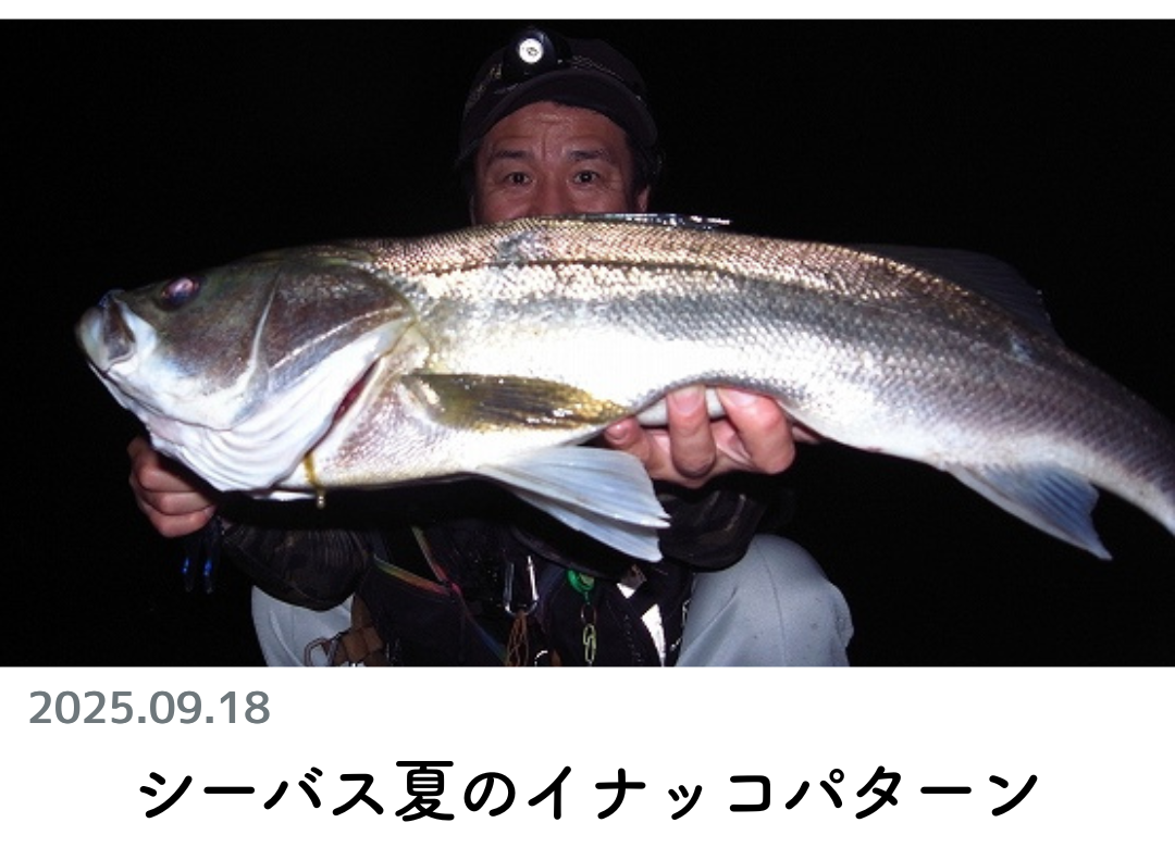 創業1888年サクラ高級釣竿 - 櫻井釣漁具株式会社