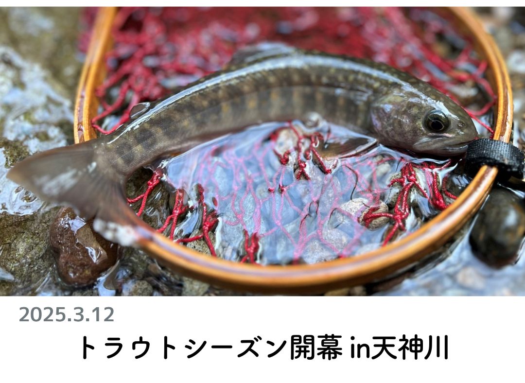 創業1888年サクラ高級釣竿 - 櫻井釣漁具株式会社 創業1888年サクラ高級釣竿 - 櫻井釣漁具株式会社