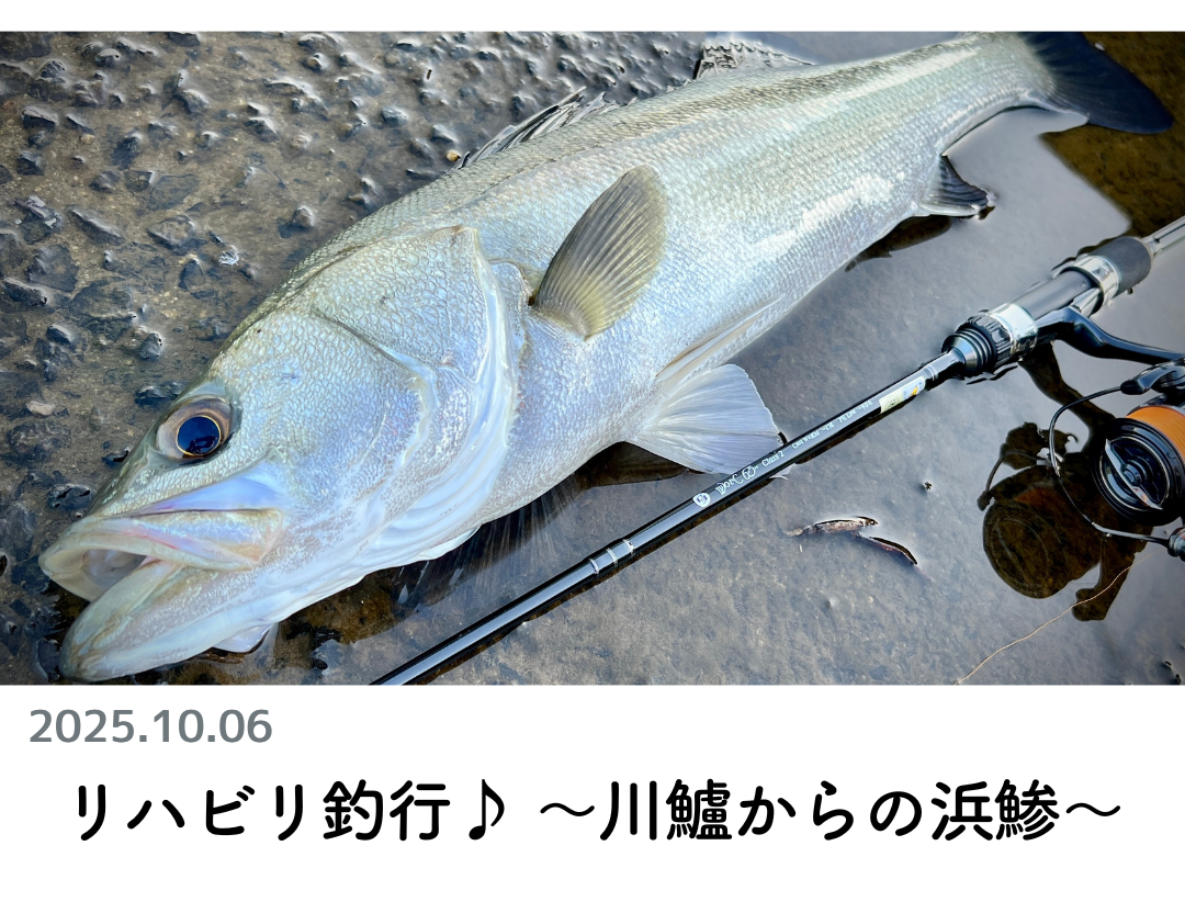 創業1888年サクラ高級釣竿 - 櫻井釣漁具株式会社