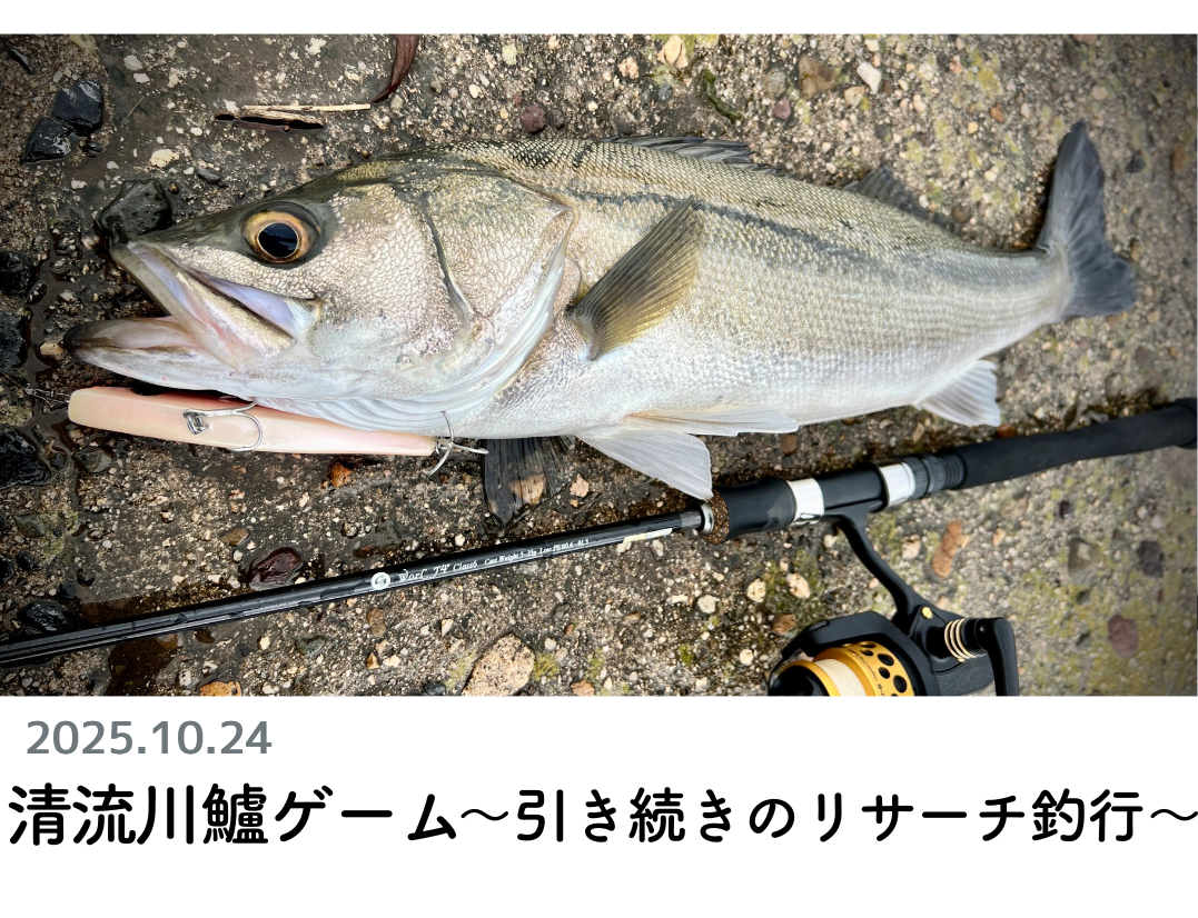 創業1888年サクラ高級釣竿 - 櫻井釣漁具株式会社