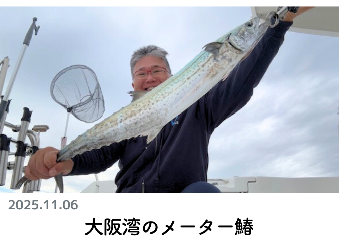 ロッド Sakura Amazon.co.jp: 美SAKURA 黒潮強 24m 小物船竿 サクラ高級釣竿製造所