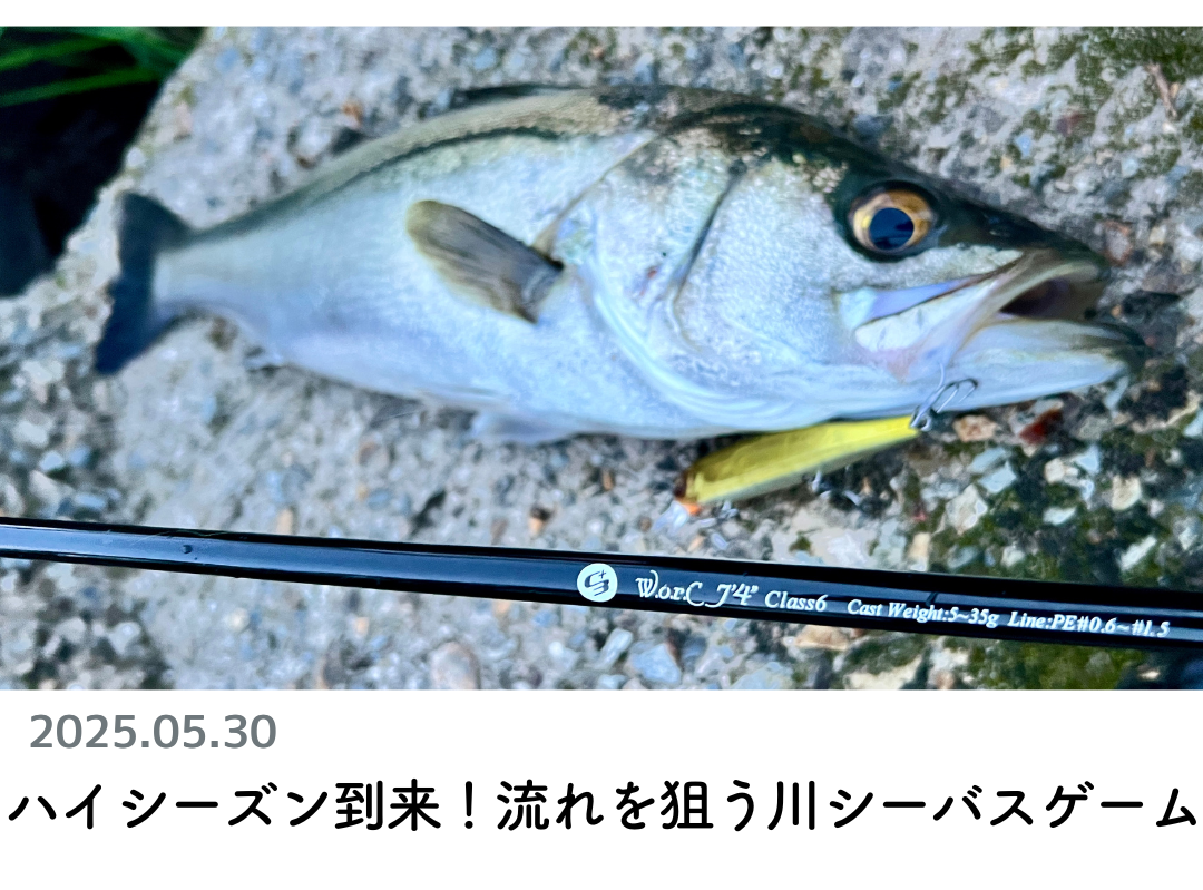 令和5年作 竿昭作 山女魚竿 7本継 2間半