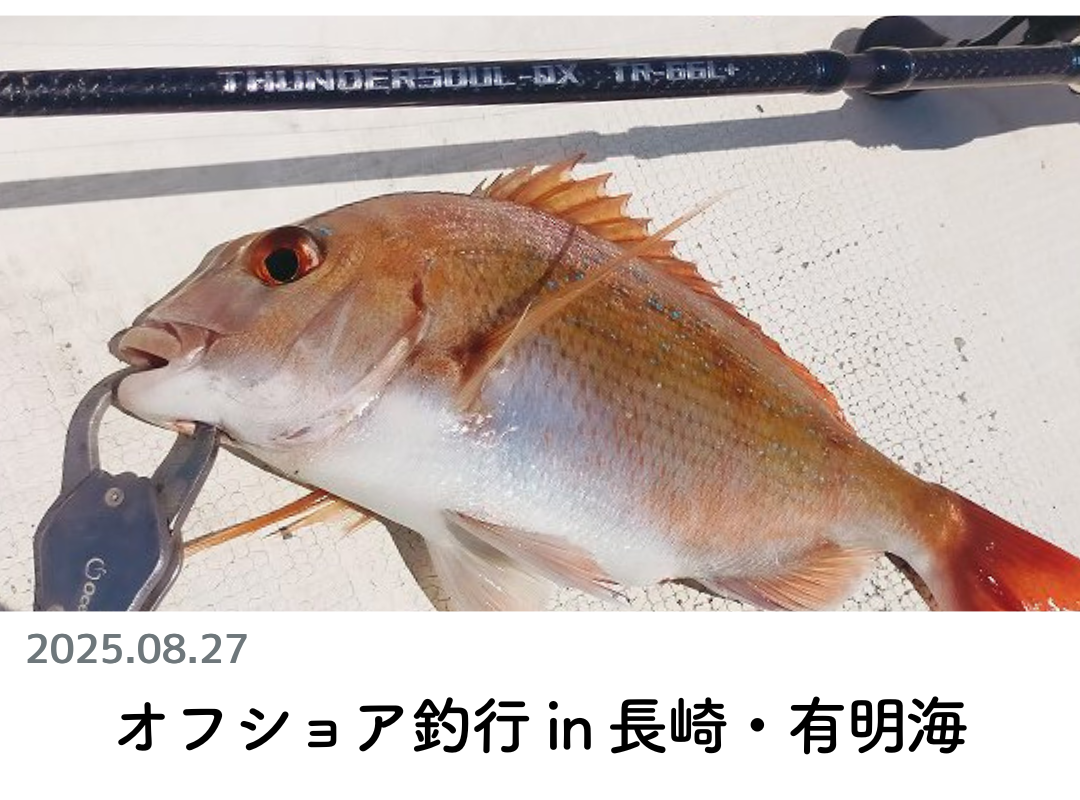 創業1888年サクラ高級釣竿 - 櫻井釣漁具株式会社