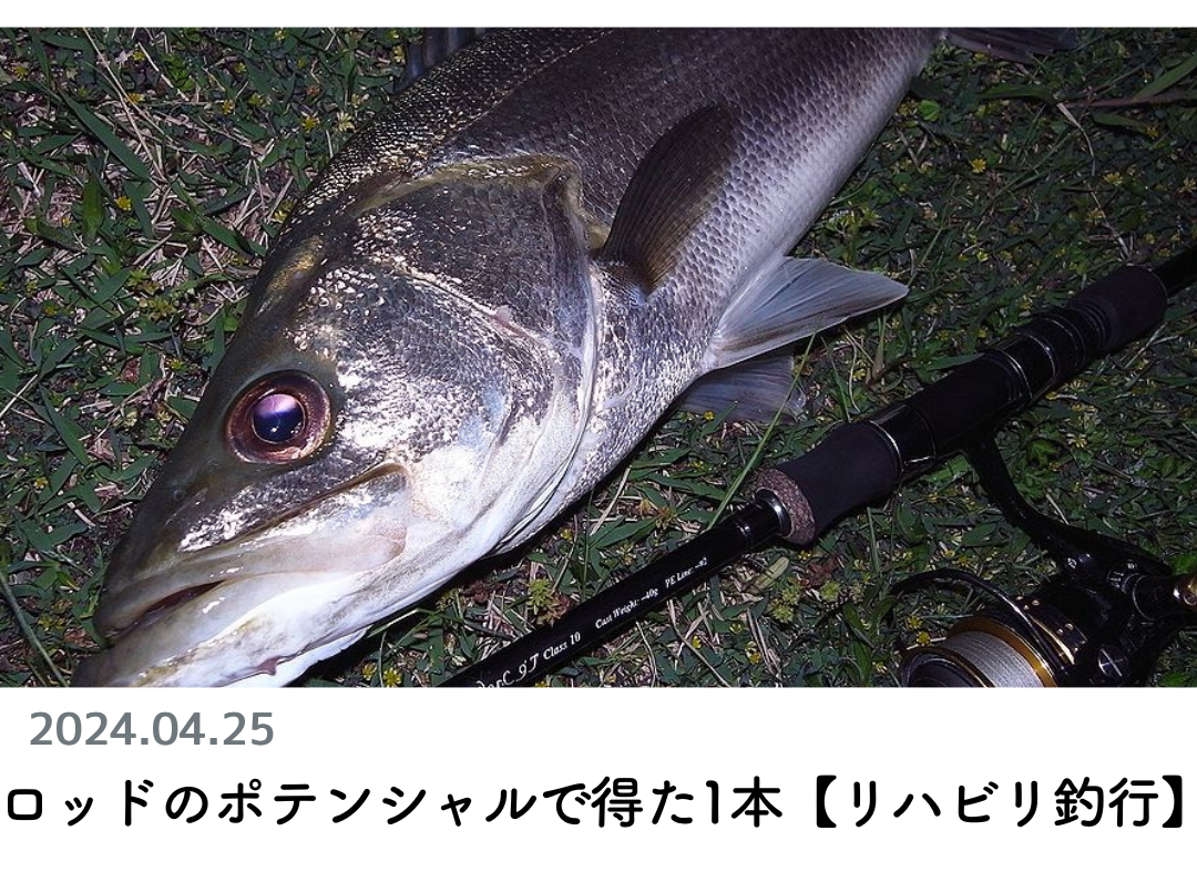創業1888年サクラ高級釣竿 - 櫻井釣漁具株式会社 創業1888年サクラ高級釣竿 - 櫻井釣漁具株式会社