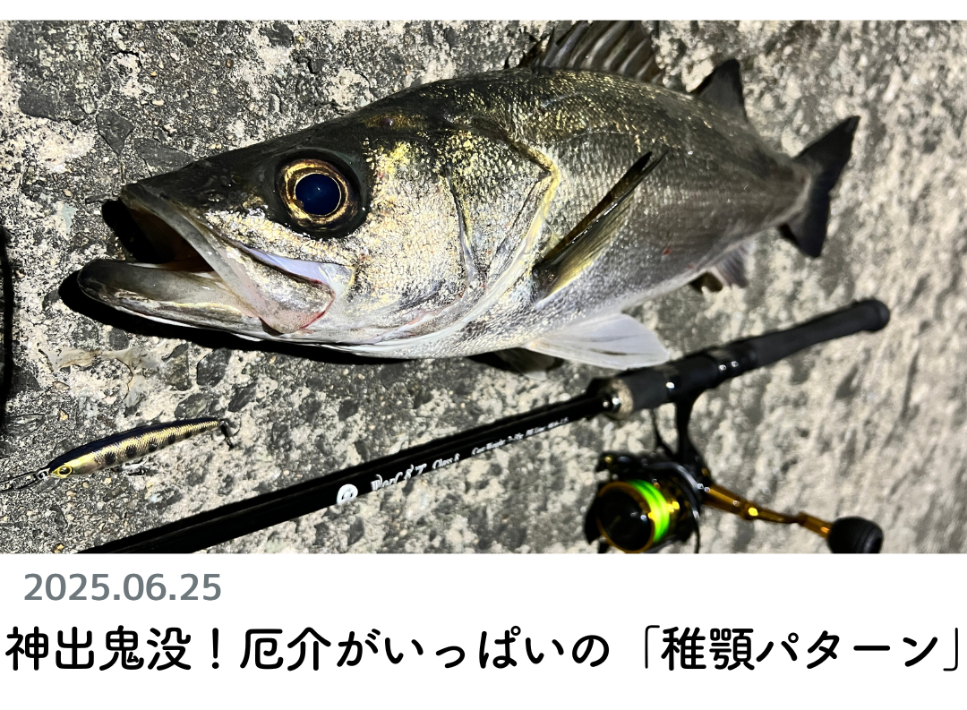 創業1888年サクラ高級釣竿 - 櫻井釣漁具株式会社