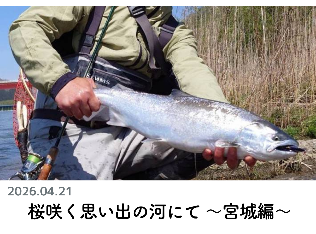 創業1888年サクラ高級釣竿 - 櫻井釣漁具株式会社