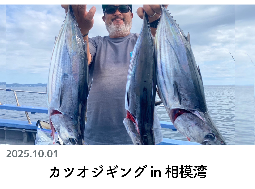 サクラ高級釣具　DB+S 太刀魚　2,3M サクラ高級釣具 DB+S 太刀魚 2,3M 創業1888年サクラ高級釣竿 - 櫻井