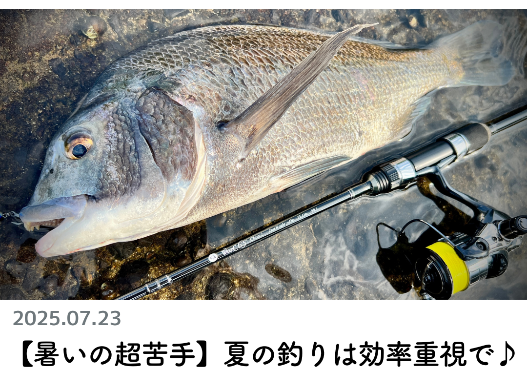 創業1888年サクラ高級釣竿 - 櫻井釣漁具株式会社