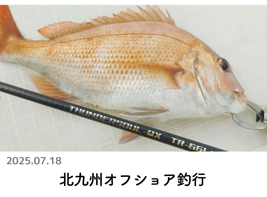 櫻井釣具　櫻井釣漁具　オフショア　メバル竿　ロッド 櫻井釣具 櫻井釣漁具 オフショア メバル竿 ロッド - メルカリ