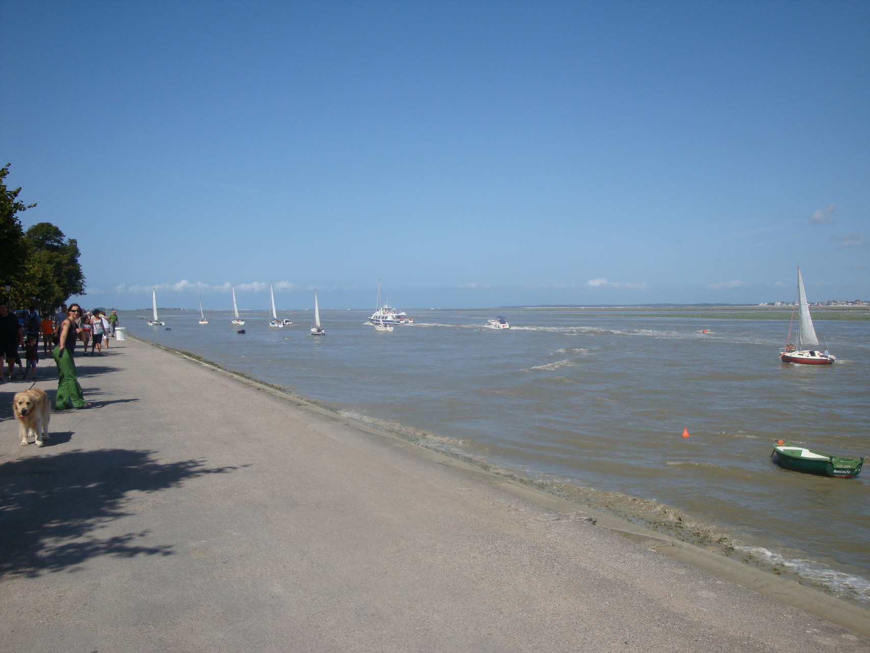 Sortie de voiliers - Baie de Somme